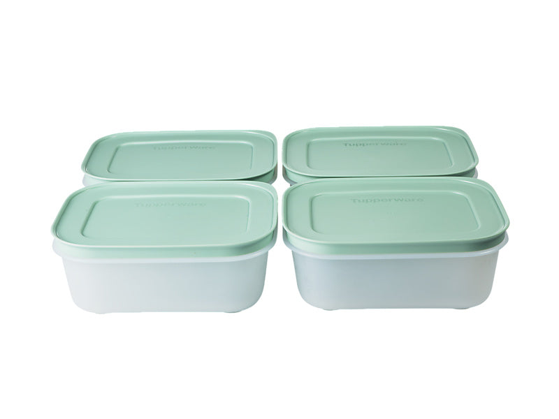 Freezable Container Set of 4