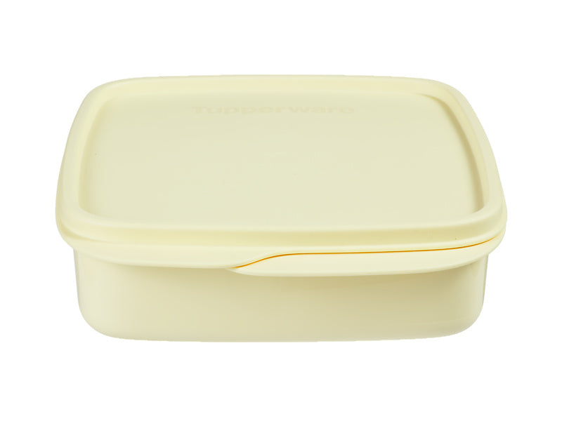 Divided Square Lunch Box