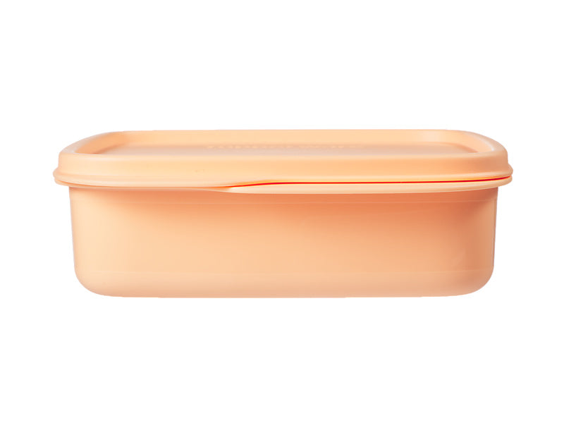 Divided Square Lunch Box