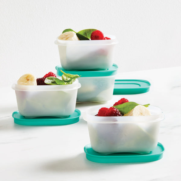 FREEZER KEEPER MINI SET 4 PACK