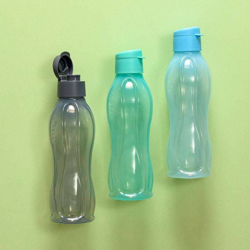 ECO BOTTLE 750ML(3) G, B, G