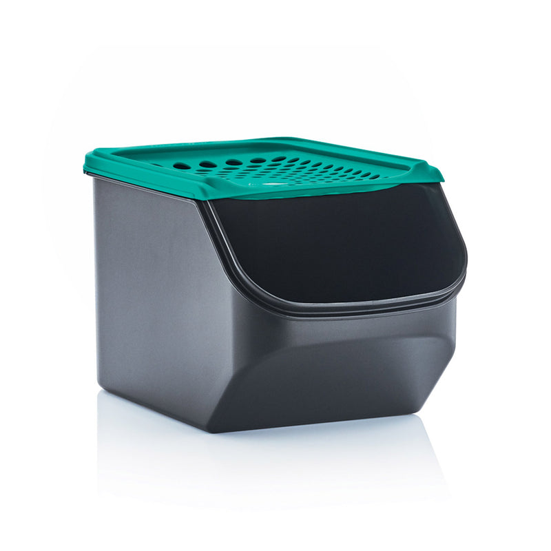 ONION CONTAINER ONION STORAGE TUPPERWARE AUSTRALIA Tupperware