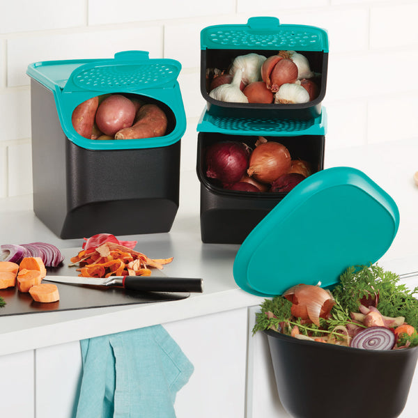 ONION CONTAINER ONION STORAGE TUPPERWARE AUSTRALIA Tupperware