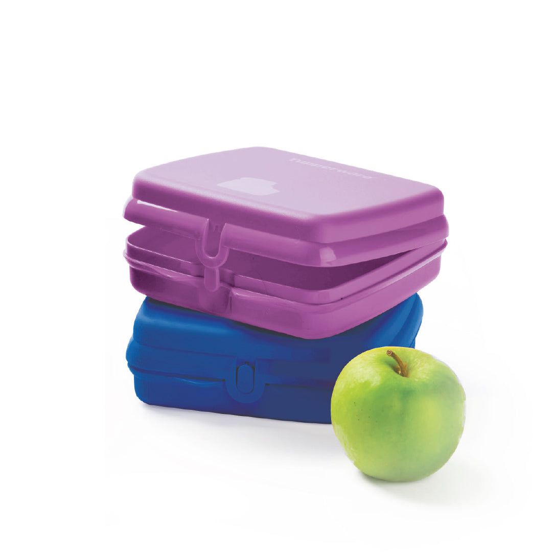 SANDWICH KEEPER LUNCH BOX Sandwich Container (2 PACK) Tupperware