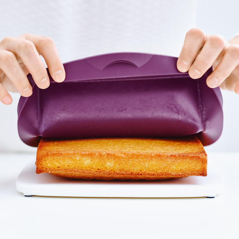 Neuf TUPPERWARE moule rectangle En Silicone pâtisserie gâteau